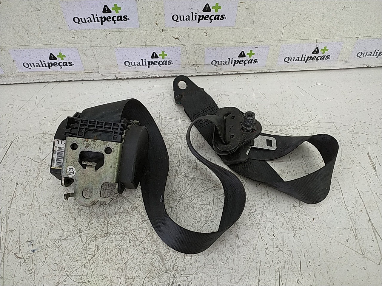 Cinto fte dto (20257168).