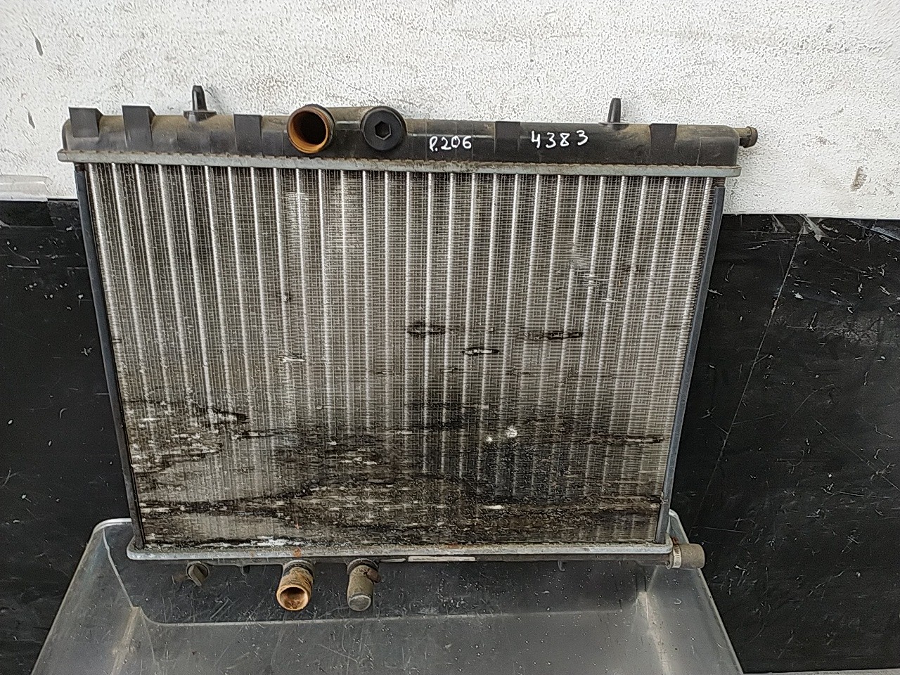 Radiador agua (20248756).