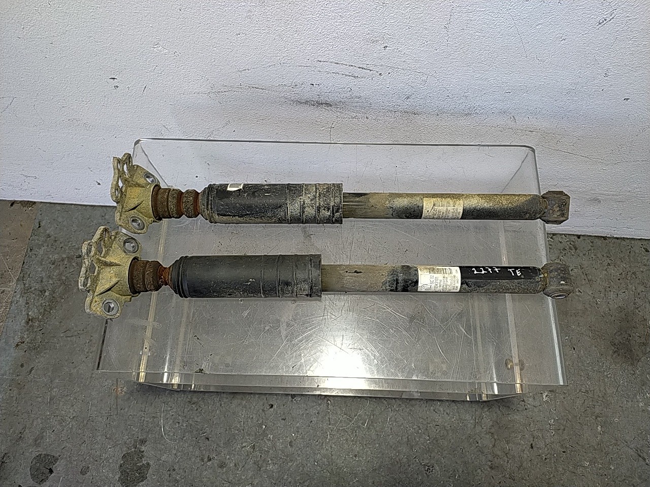 Conjunto amortecedor trás (20267542).