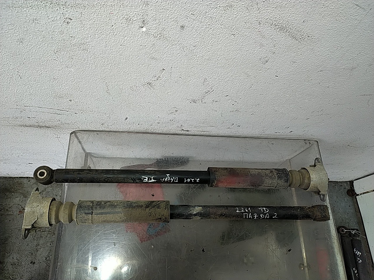 Conjunto amortecedor trás (20268354).