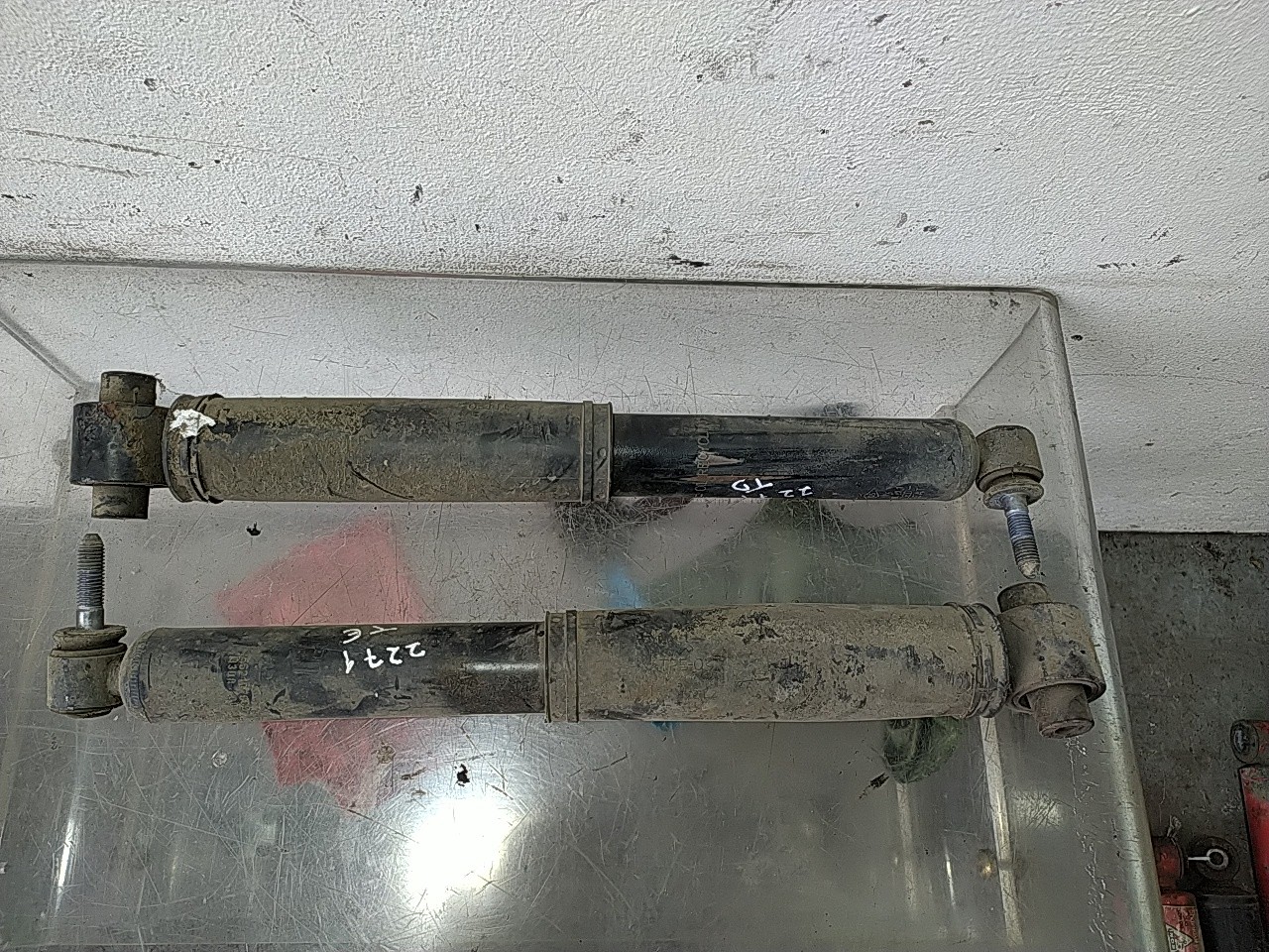 Conjunto amortecedor trás (20259882).