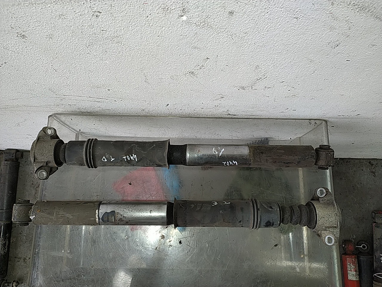 Conjunto amortecedor trás (20268360).