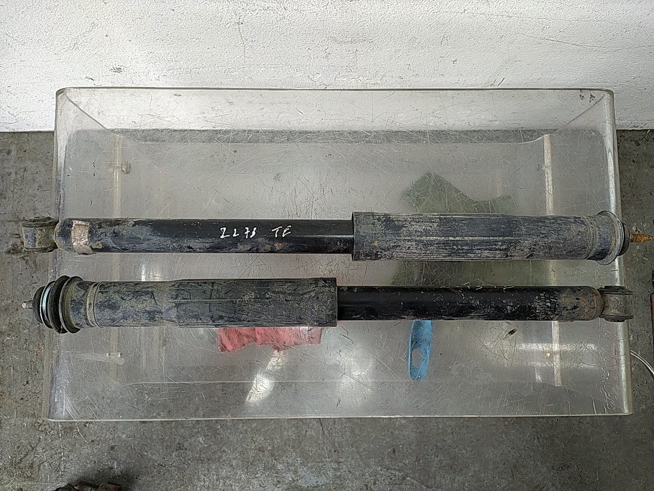 Conjunto amortecedor trás (20268362).