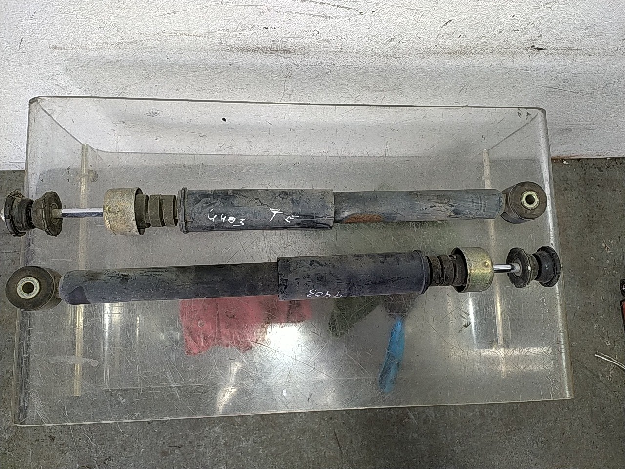 Conjunto amortecedor trás (20268367).