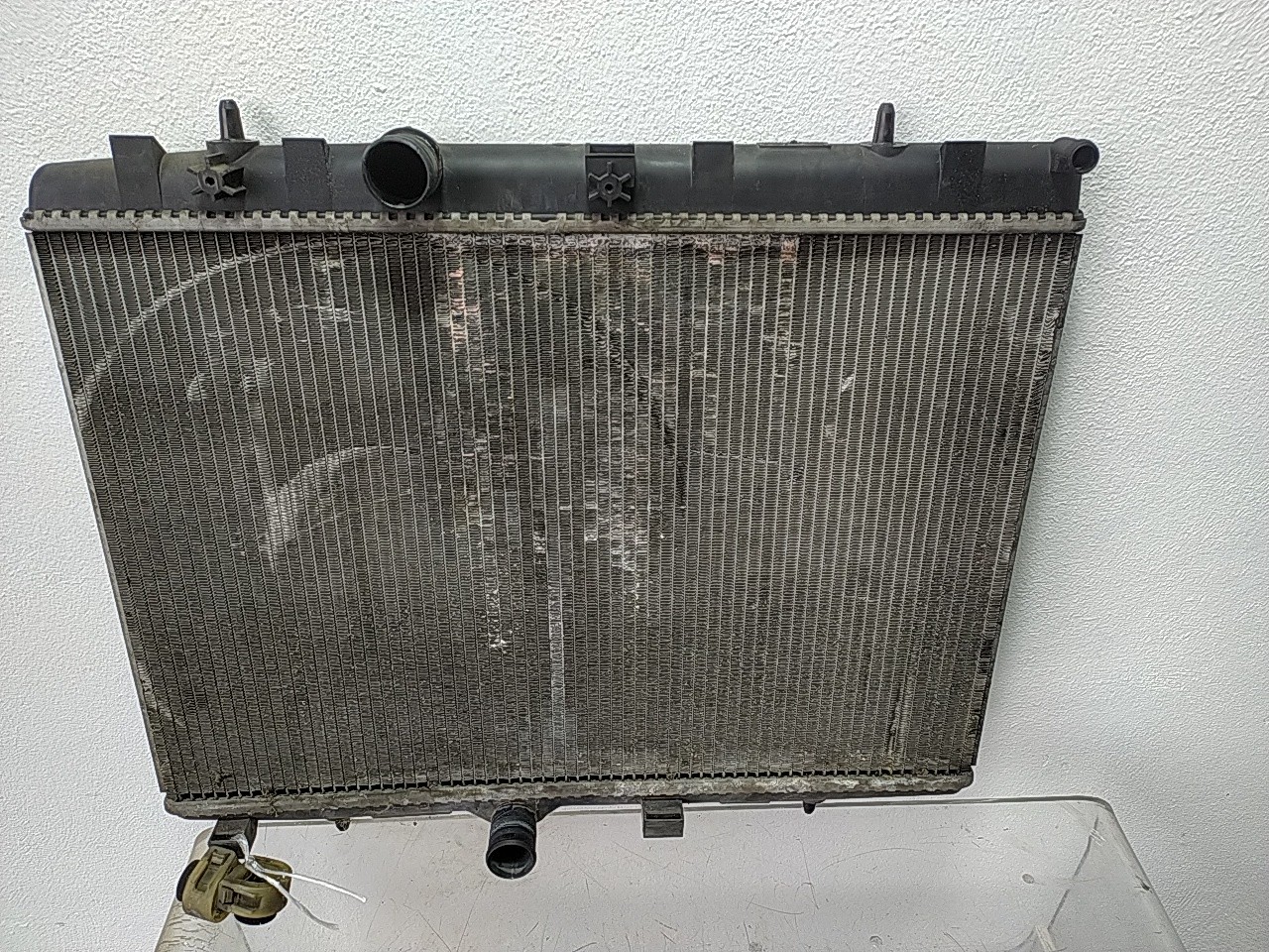 Radiador agua (20265314).