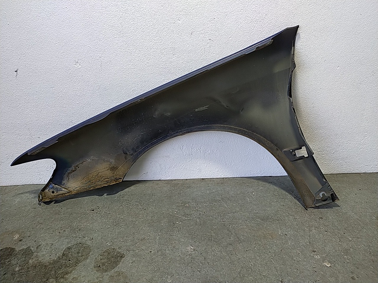 Guarda lamas direito (124863).