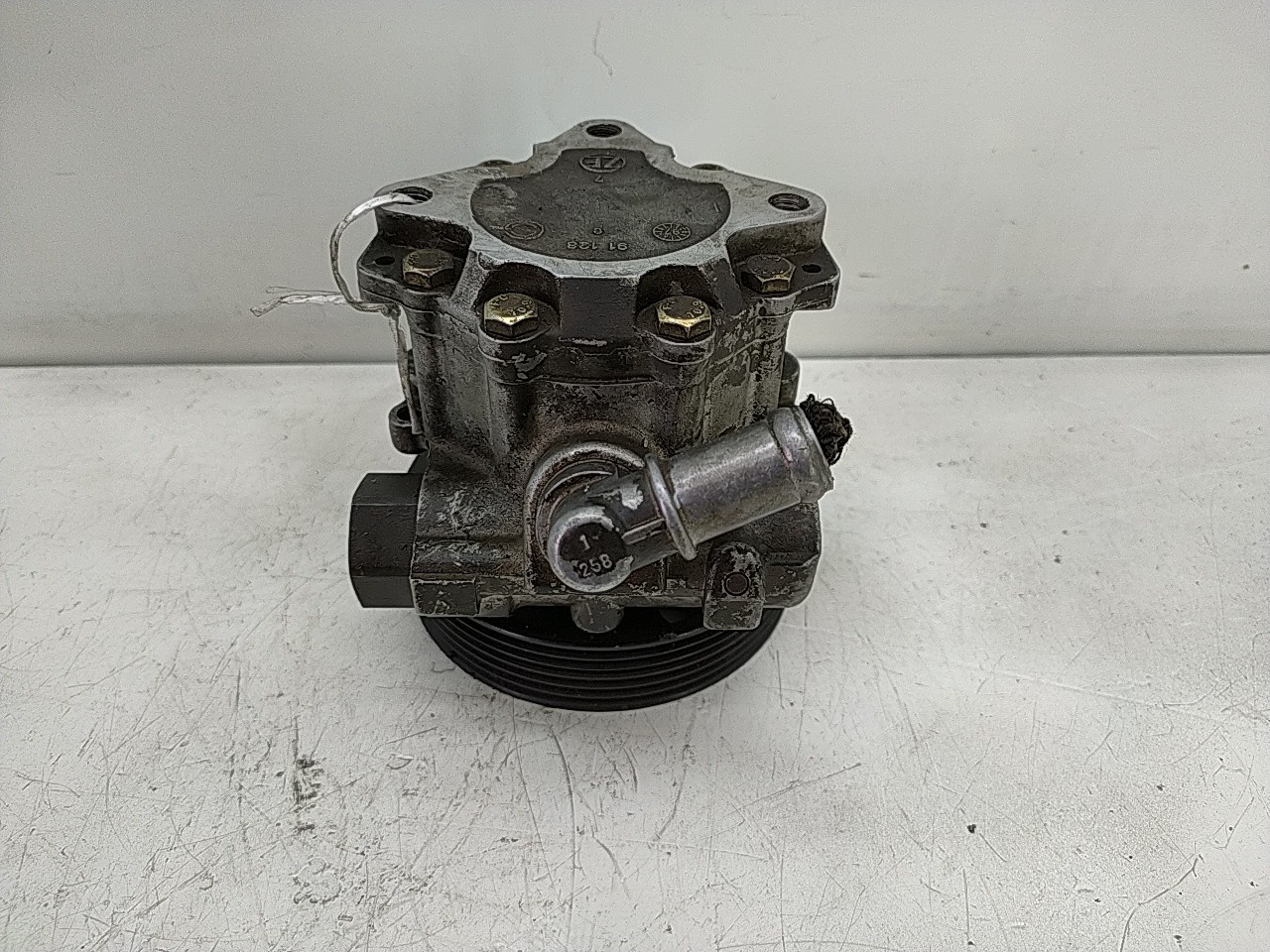 Bomba direcção assistida (113903).