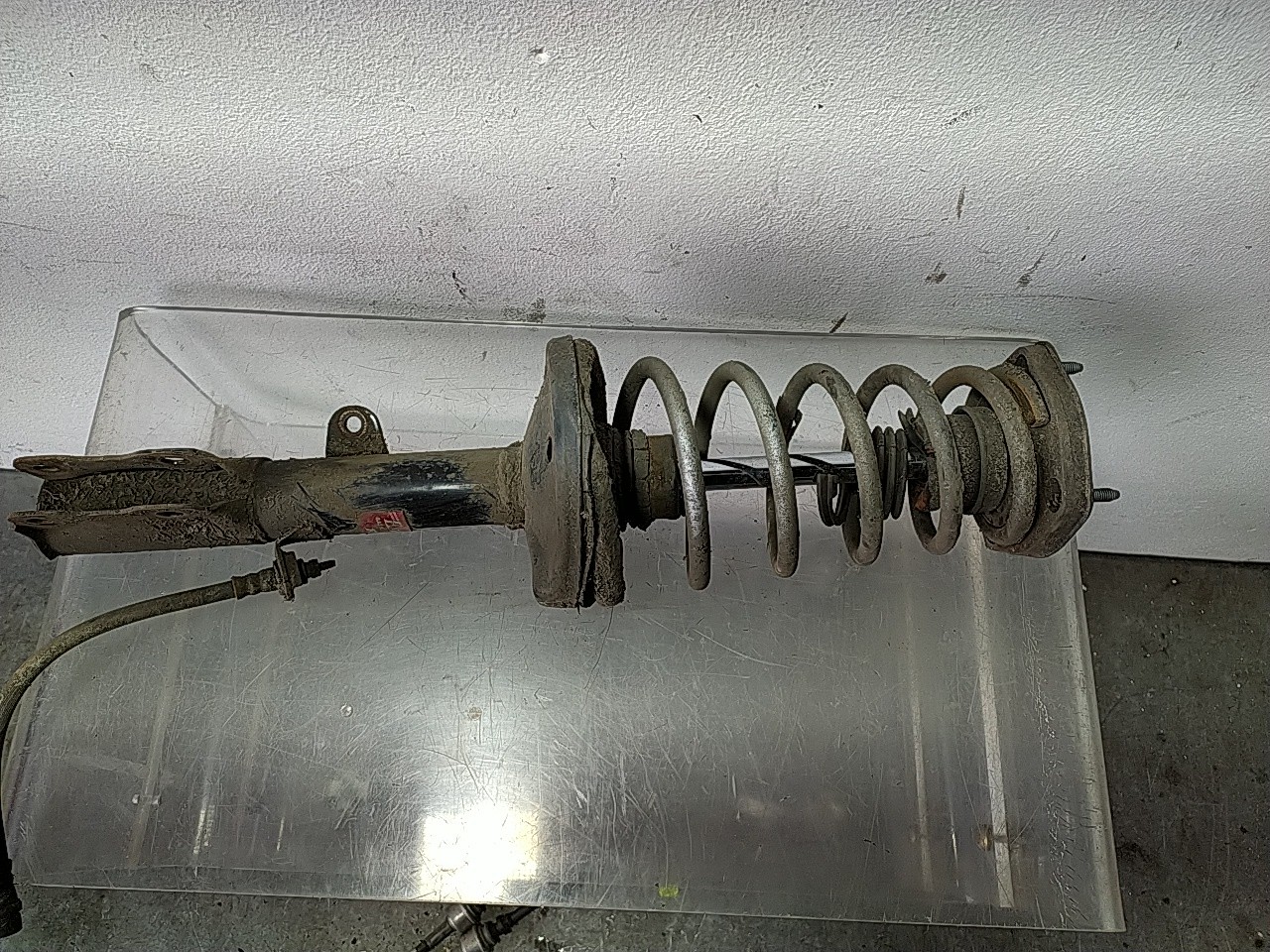 Amortecedor tras dto (20272277).