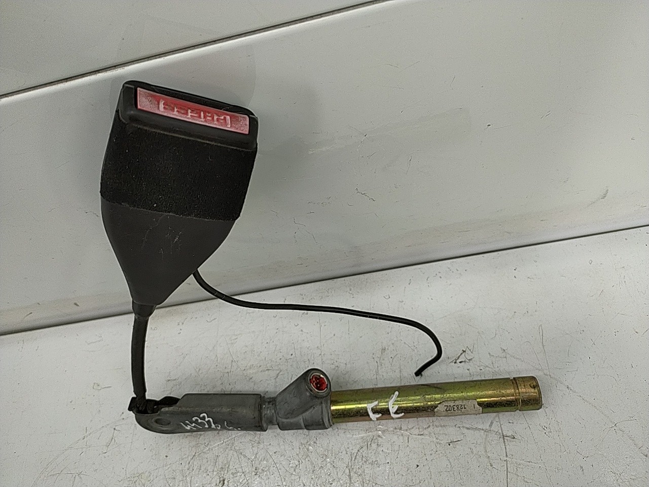 Pre tensor fte esq (20274573).