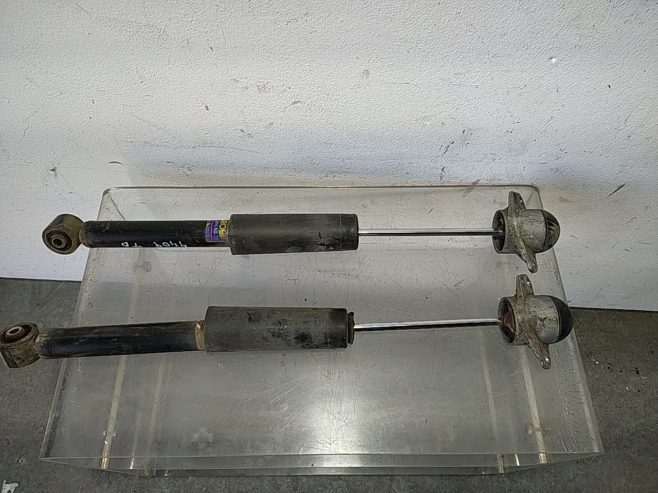 Conjunto amortecedor trás (20274689).