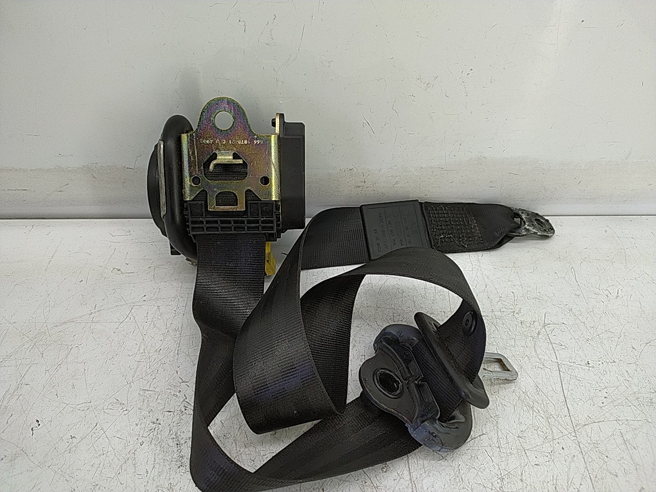 Cinto fte dto pre tensor (20269843).