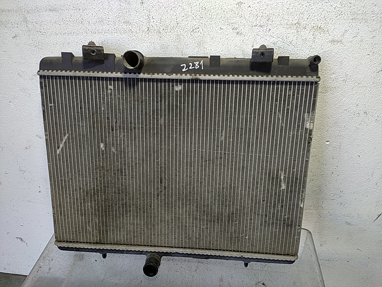 Radiador agua (20275464).