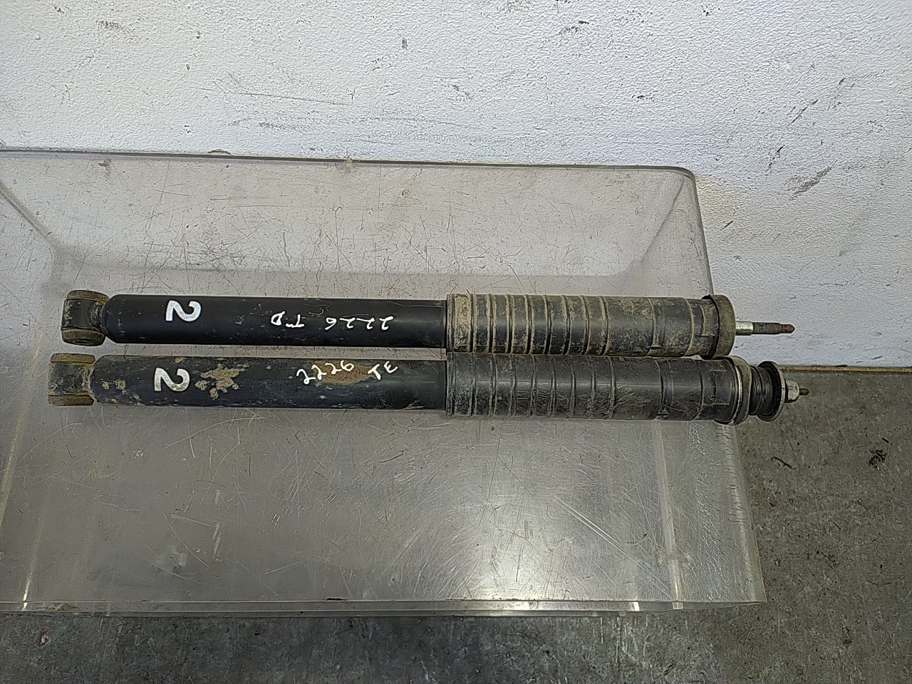 Conjunto amortecedor trás (20276066).