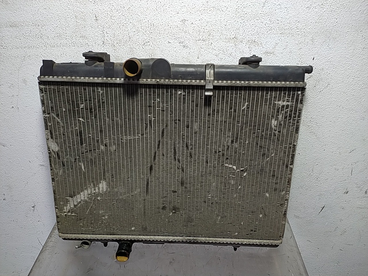 Radiador agua (20276033).