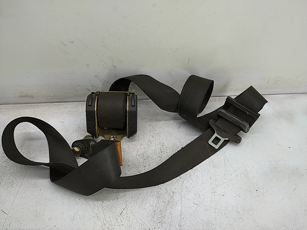 Cinto fte esq (20273445).