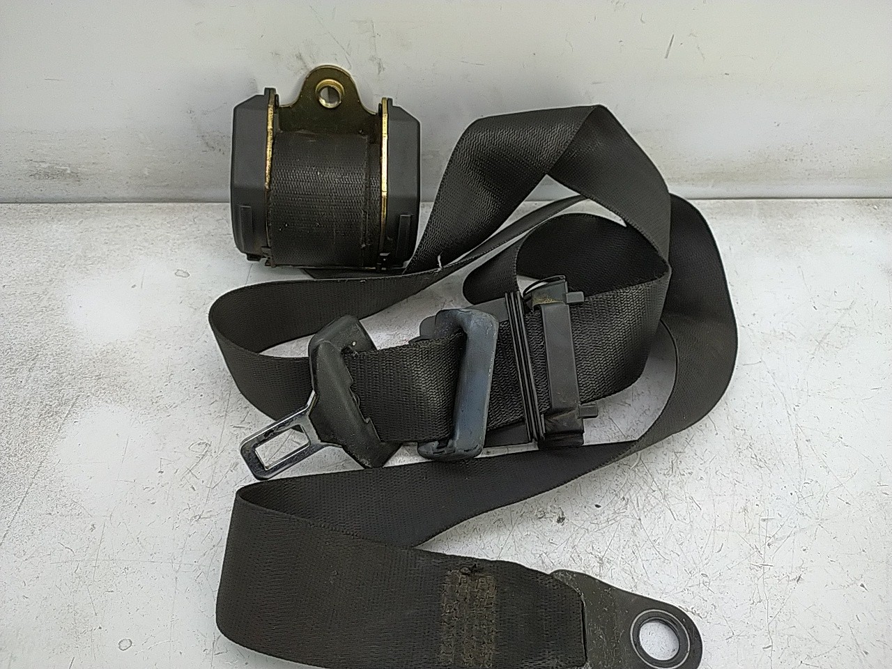 Cinto fte dto (20273444).