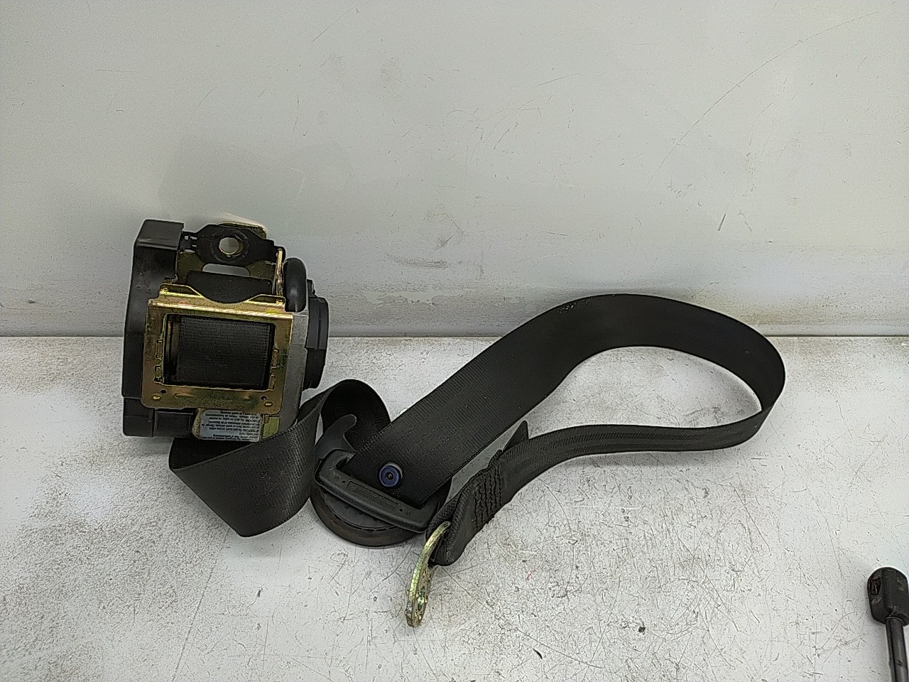 Cinto fte dto pre tensor (20273519).