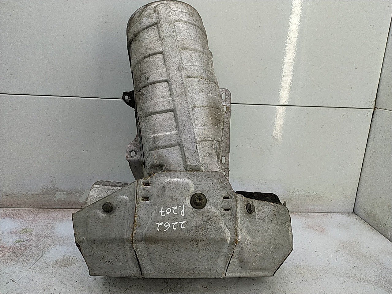 Protecção do Catalizador (20277604).