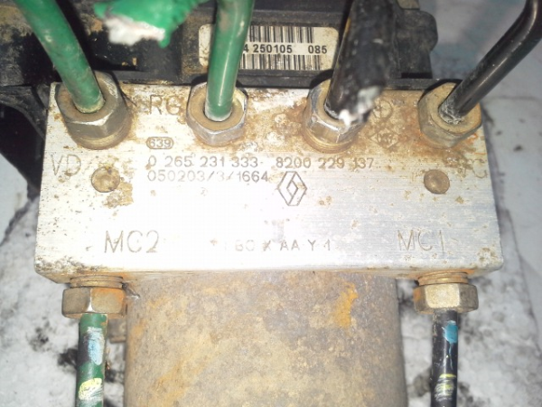 ABS (20211912).