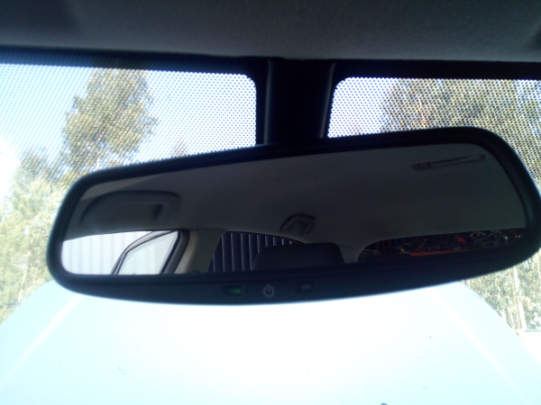Espelho rectrovisor interior (20217874).