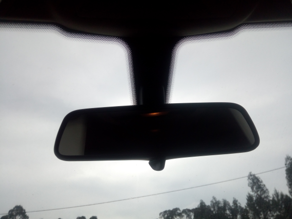 Espelho rectrovisor interior (20219189).