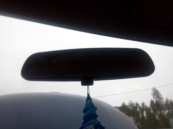 Espelho rectrovisor interior (20219356).