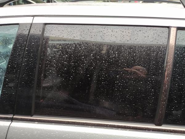 Vidro porta tras esquerda (20260154).