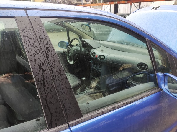 Vidro porta frente direita (20267990).