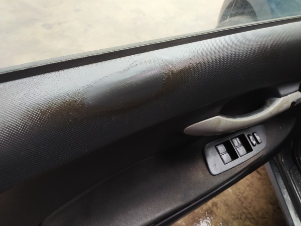 Interruptor vidros porta cond/pass (20276524).