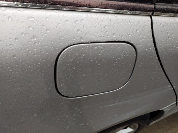 Porta de combustivel (20259663).