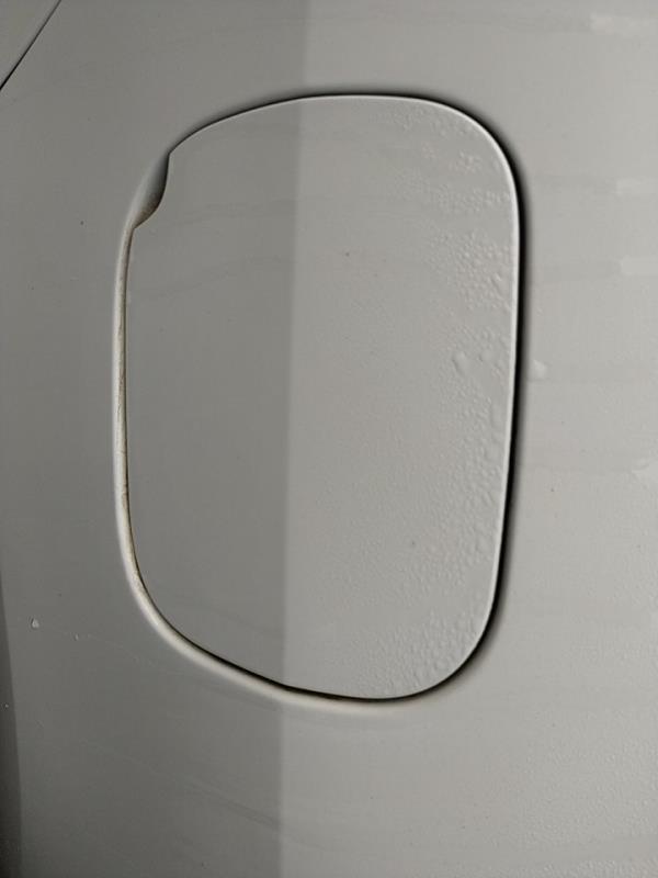 Porta de combustivel (20266989).