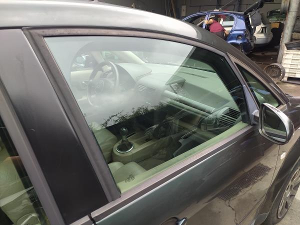 Vidro porta frente direita (20268752).