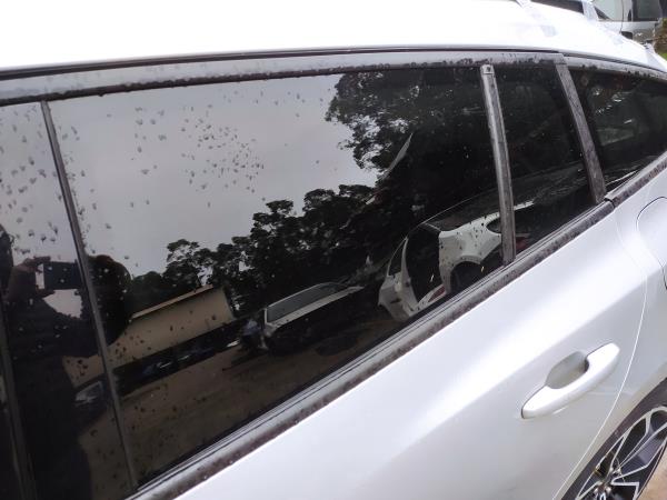 Vidro pequeno porta tras esquerda (20270343).