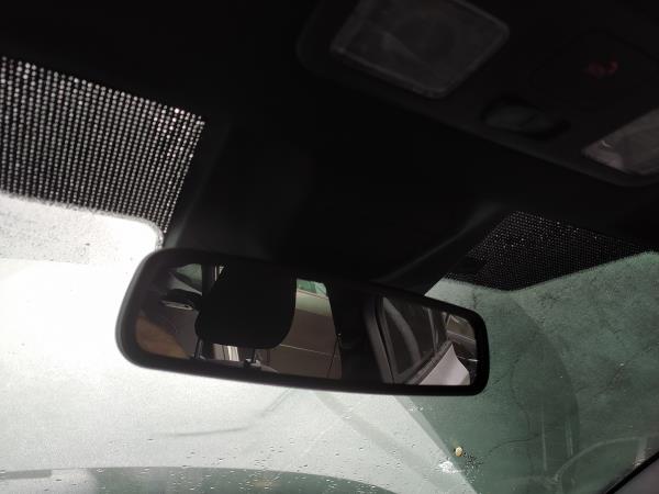 Espelho rectrovisor interior (20270362).