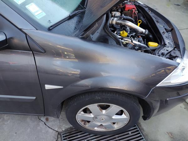 Guarda lamas direito (20272135).