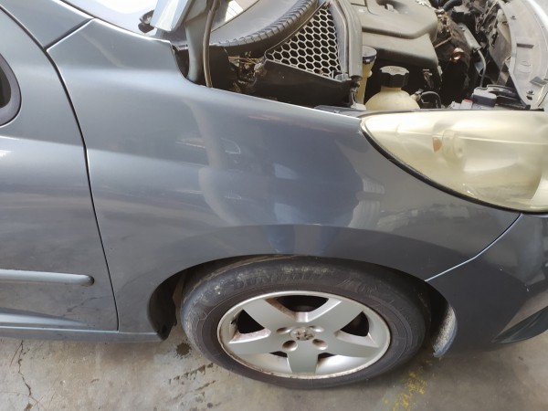 Guarda lamas direito (20274801).