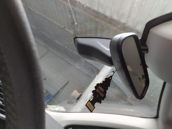 Espelho rectrovisor interior (20275312).