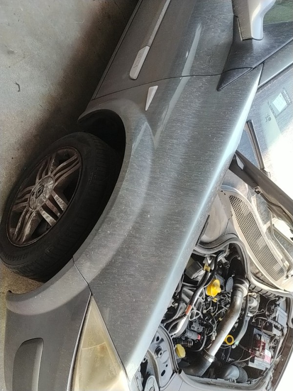 Guarda lamas direito (20275551).