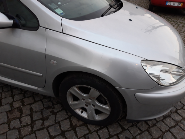 Guarda lamas direito (20224077).