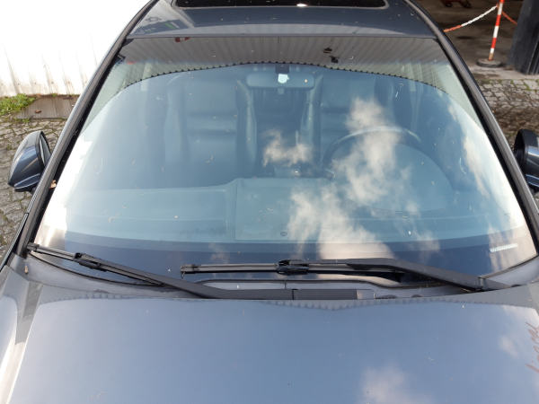 Vidro pára brisas (20224150).