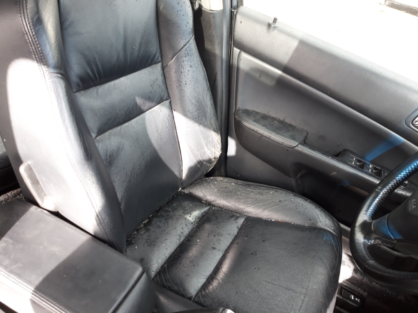 Quartela frente esquerda (20224179).