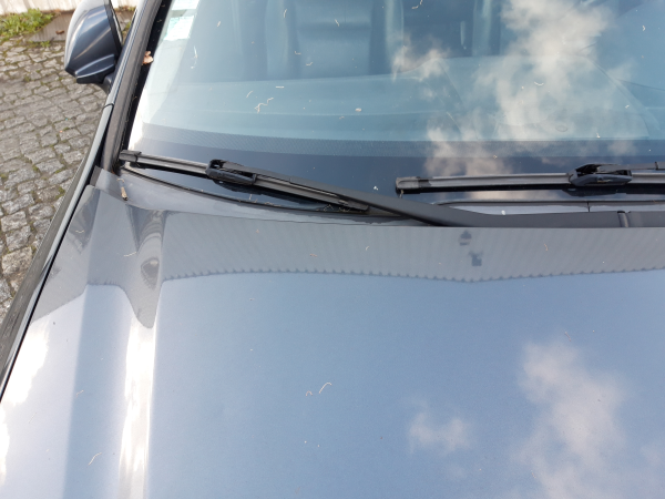 Haste limpa para brisas dto (20224206).