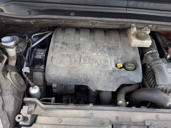 Motor Completo (20228289).