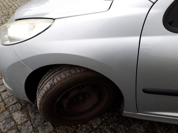 Guarda lamas esquerdo (20233639).