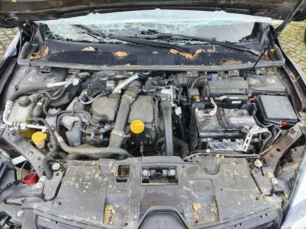 Motor Completo (20236764).