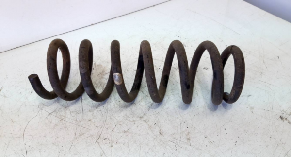 Mola amortecedor tras (20237677).