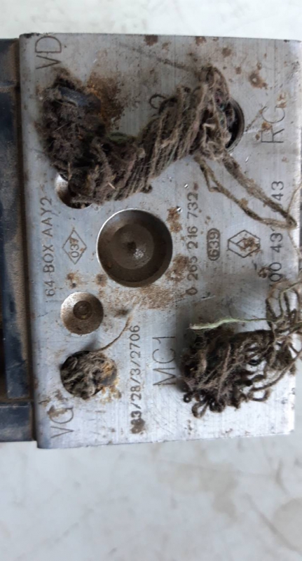 ABS (110654).