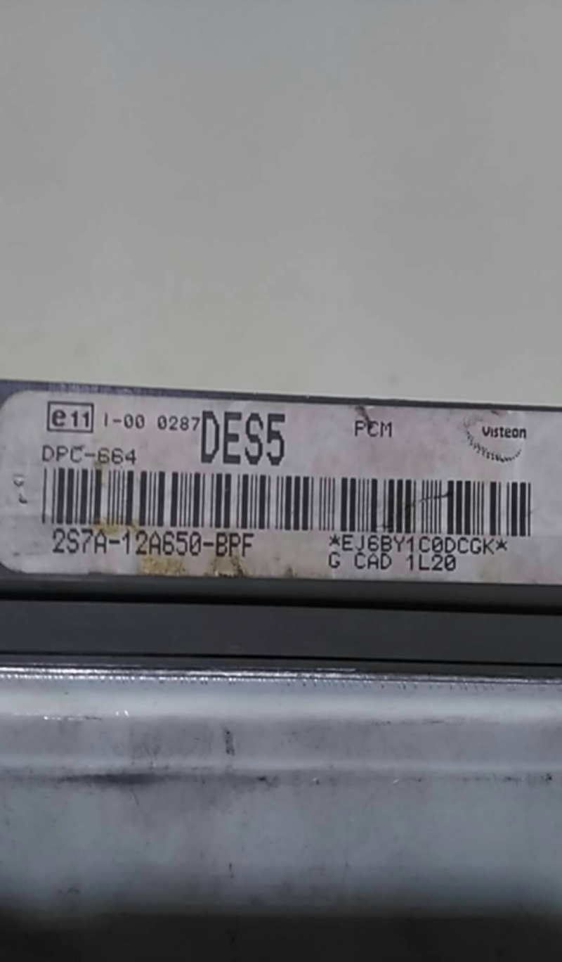 Centralina motor (123731).