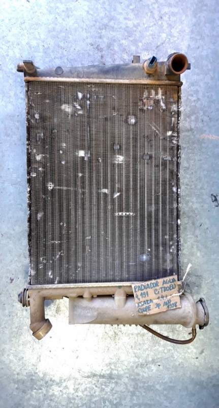 Radiador agua (170400).