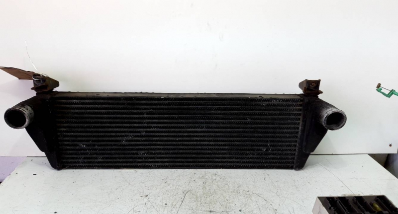 Intercooler (20186300).
